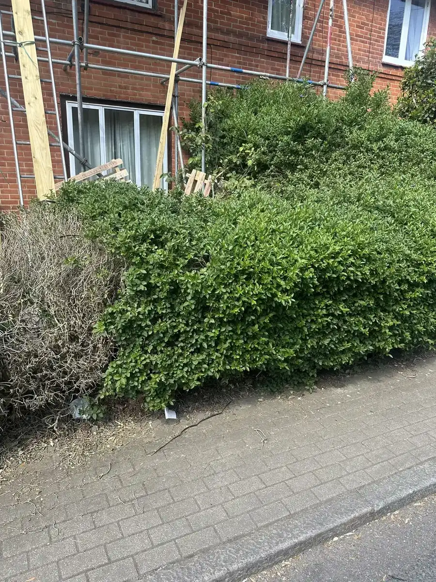 Residential property access near roofing waste clearance